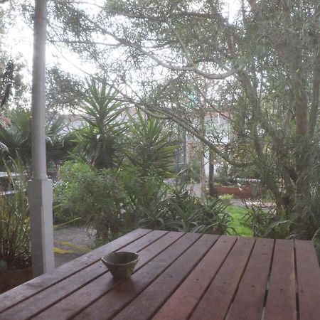 Oasis Accommodation Opotiki Luaran gambar